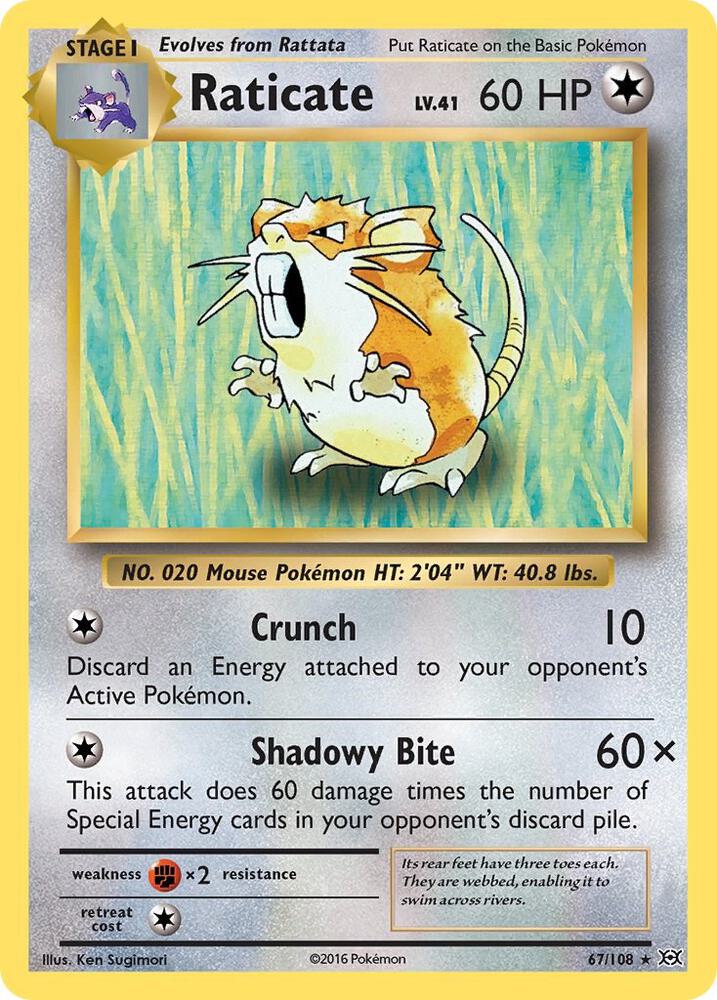 Raticate 67/108 Single