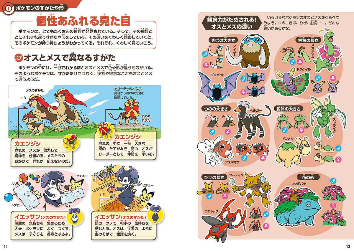 Pokecology Pokemon Ecology Encyclopedia Artbook Japanese 2025