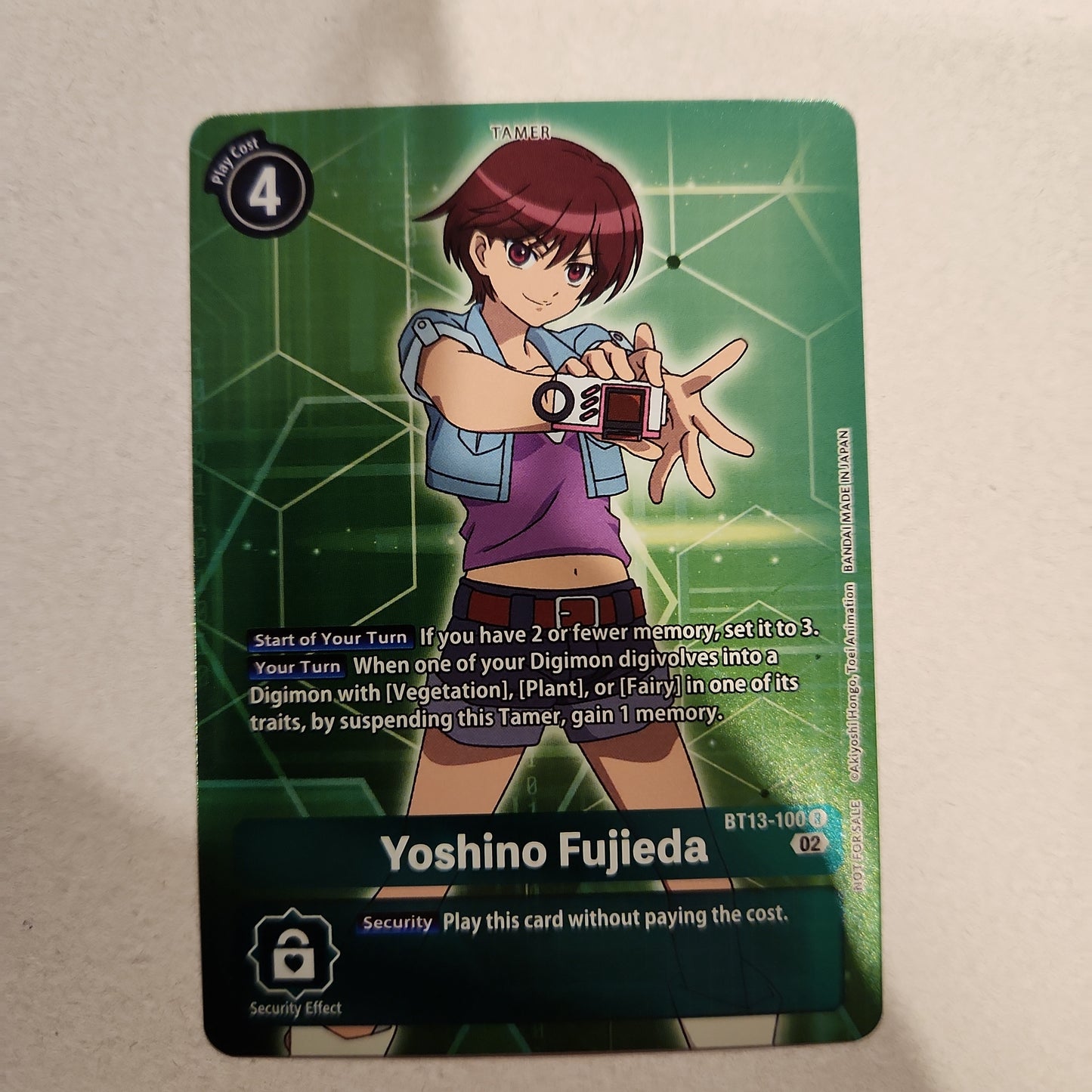 BT13-100 Yoshino Fujieda Box Topper Single