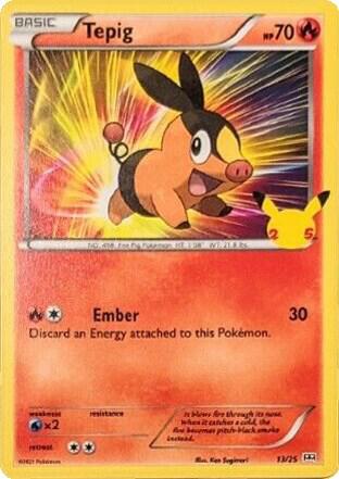 Tepig - 13/25 Holo Single