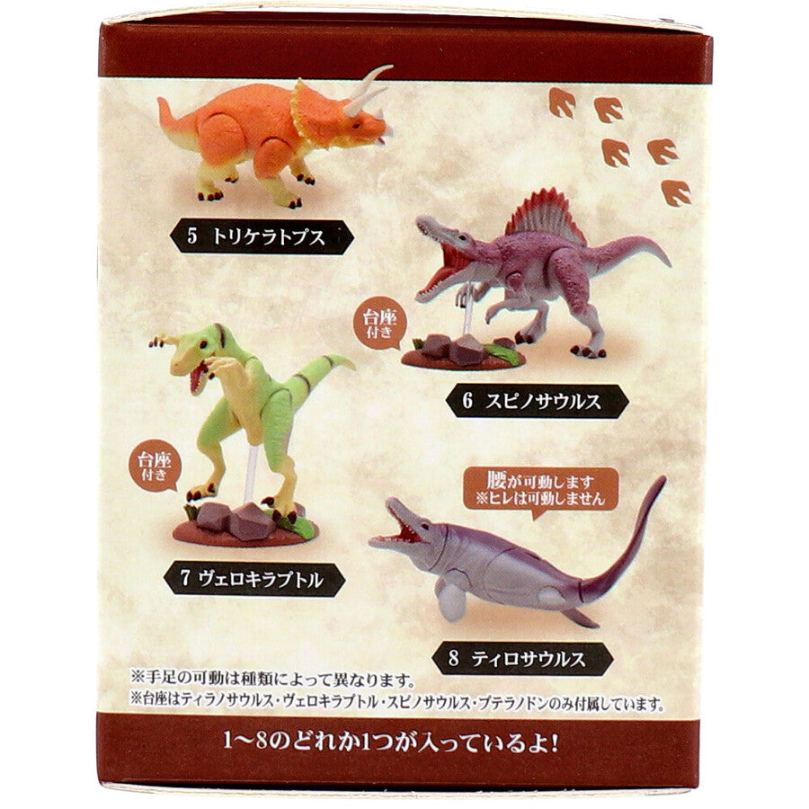 Modeling Dinosaur Blind Box