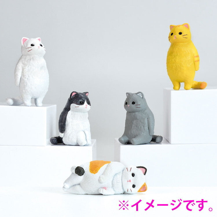 Kyomu Cats Blind Box Figurines