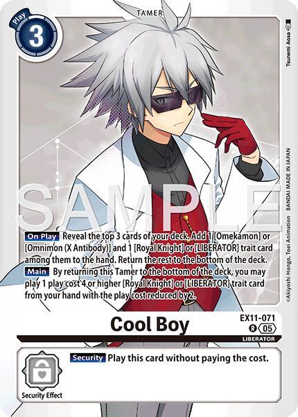 EX11-071 Cool Boy Single