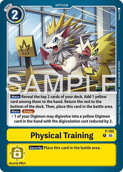 P-105 Physical Training Reprint Single