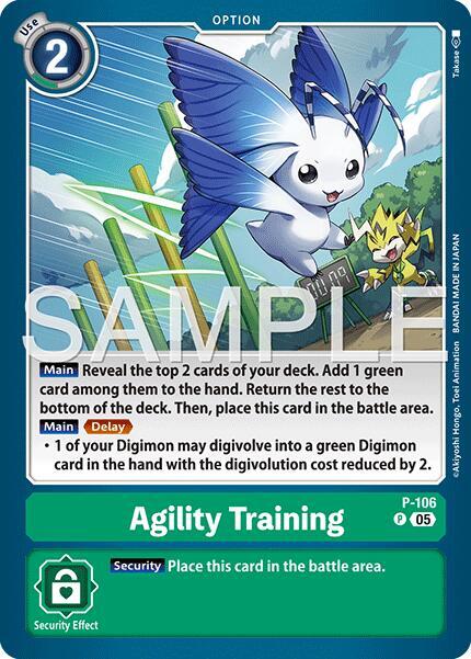 P-106 Agility Training Reprint Single